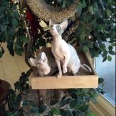 Maddie-and-Murphy