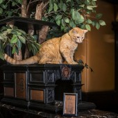 hamlet-8-2018