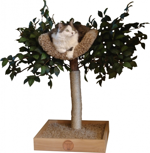 Nesting Tree - Cat Fancy Editors' Choice Award 2012 Winner!