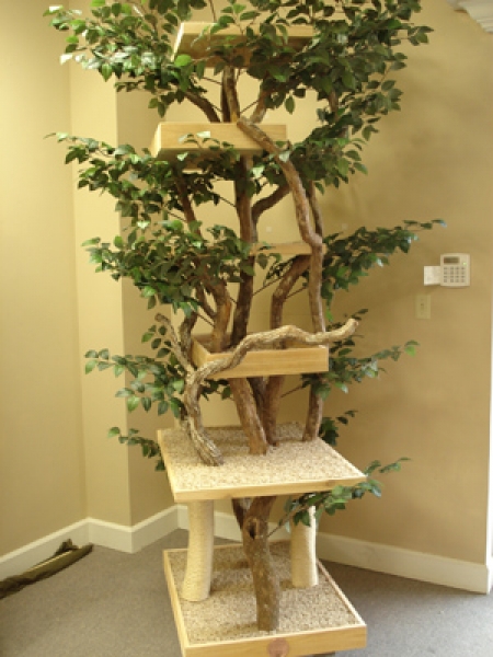 Custom/Special Needs Trees