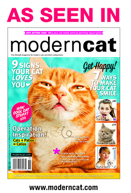 Modern Cat Award