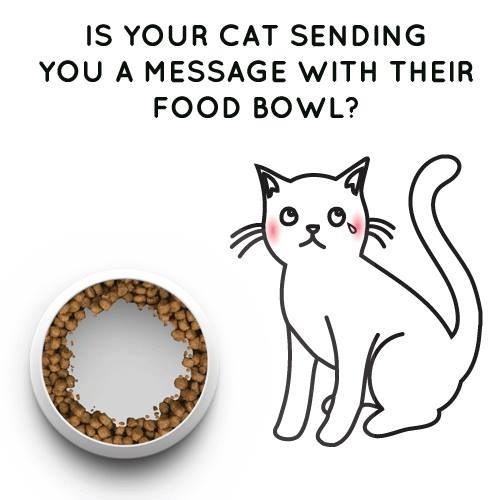 Dr. Catsby\'s Whisker Relief Food Bowl