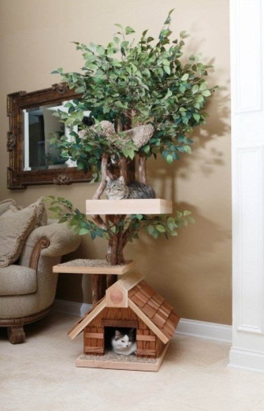 Adult_medium_Tree