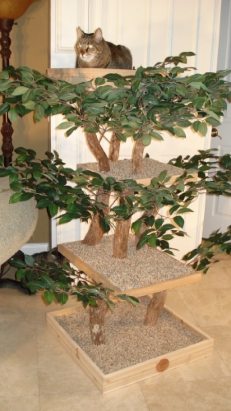 KIT-TY Tree -  Cat Fancy Editors' Choice Award Winner 2013