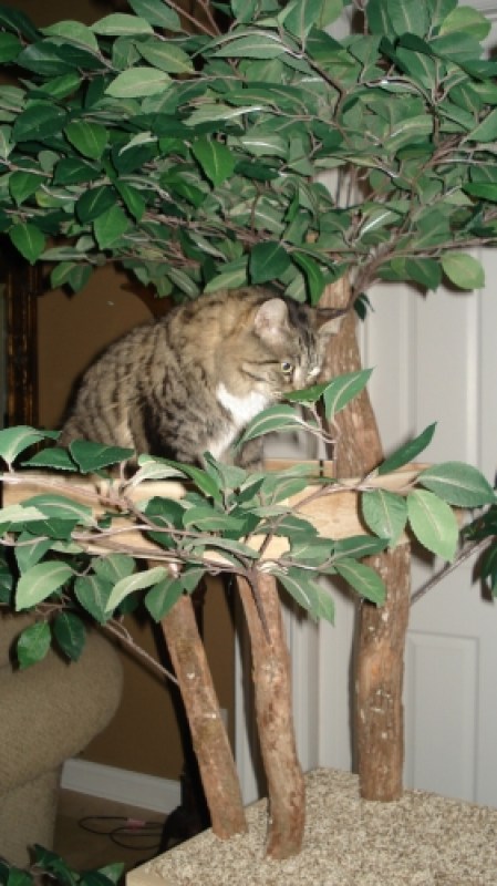 DSC03027.jpg