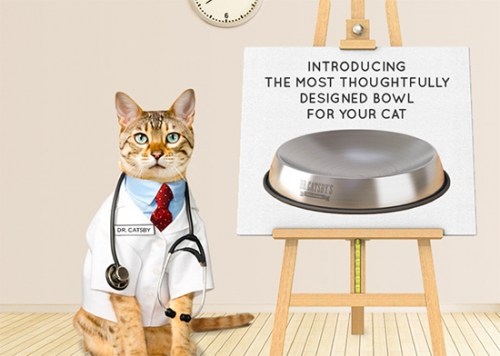 Dr. Catsby\'s Whisker Relief Food Bowl
