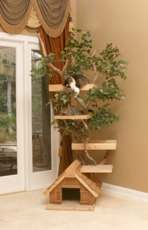 Mature large Tree wigh Amelia and Buster in home setting
