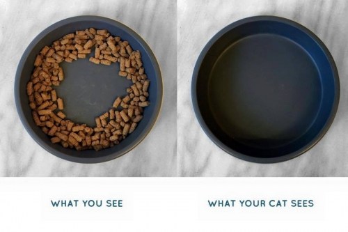Dr. Catsby\'s Whisker Relief Food Bowl